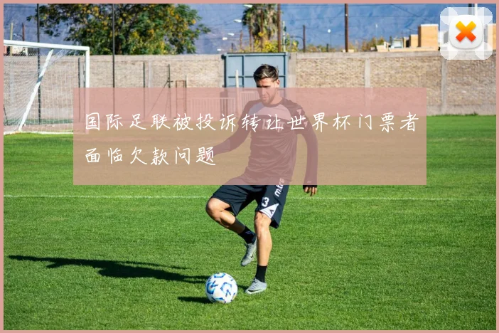 国际足联被投诉转让世界杯门票者面临欠款问题